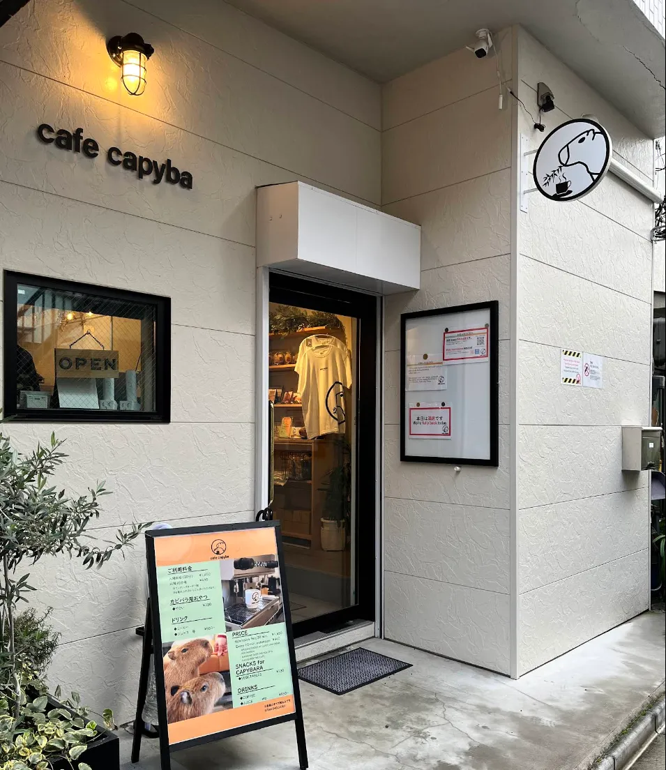 Cafe capyba Sumida Tokyo