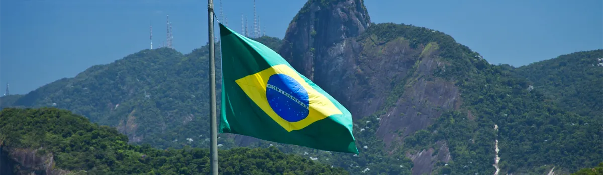 Capybaras au Brésil