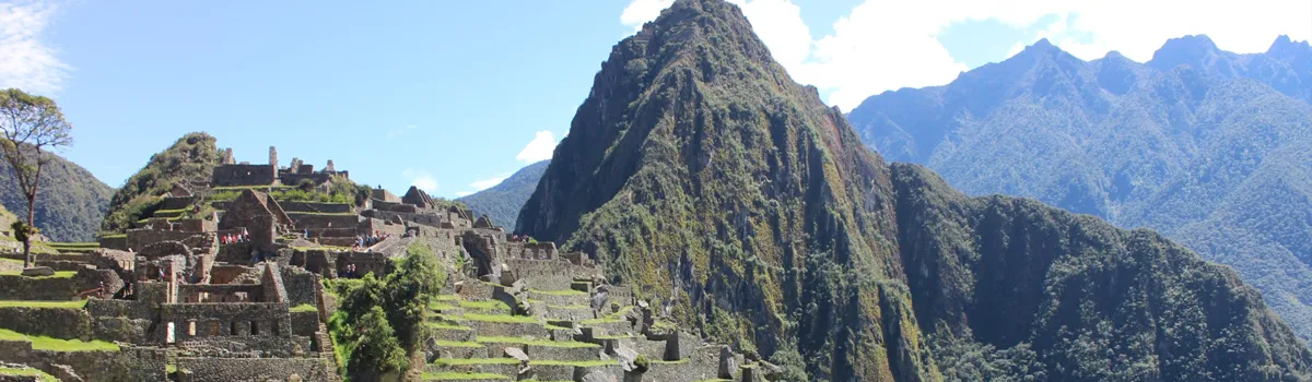 Voir des capybaras au Pérou