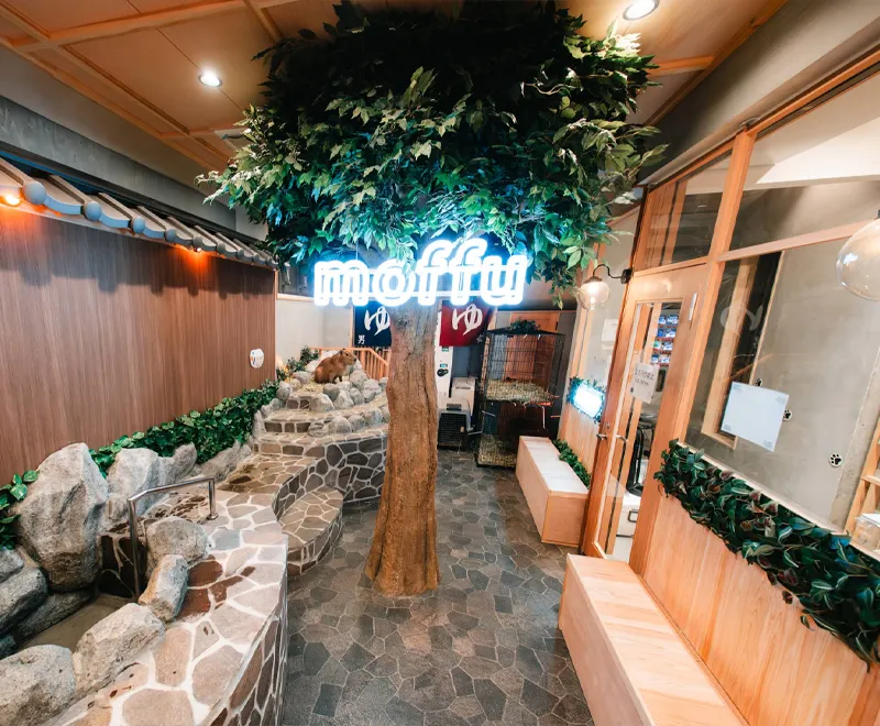 moffu café tokyo capybara