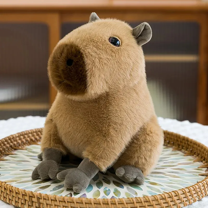 Peluche Capybara Plushie 22cm