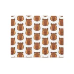 Ensemble de sets de table Capybara Signature